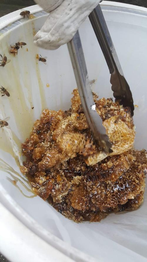 农副产品购销专版土蜂蜜 纯天然农家自产1斤装纯百花蜜6月新割蜜剩余6